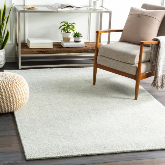 Surya Messina MSN-2304 Area Rug