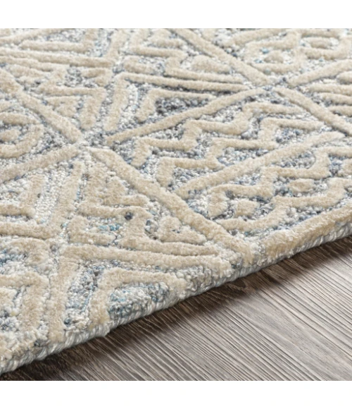 Surya Montclair MTC-2312 4  x 6  Rug