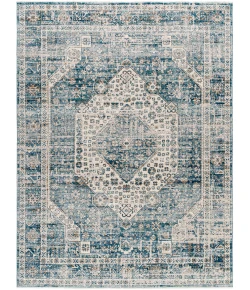 Livabliss Montreal MTR2307 Taupe Light Grey Area Rug 9 ft. 2 in. X 12 ft. 6 in. Rectangle