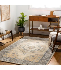 Surya Malatya MTY2300 Khaki Tan Area Rug 2 ft. X 3 ft. Rectangle
