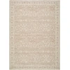 Nabela Noor Home Asha NBAS-2303 7 ft. 10 in. X 10 ft. Rect. Rug