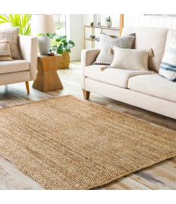 Livabliss Natural Braids NBD2300 Tan Area Rug 10 ft. Round Round