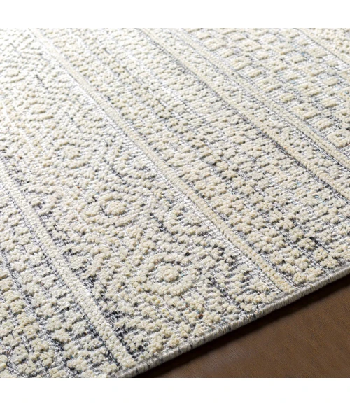 Surya Nobility NBI-2310 2  x 3  Rug