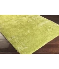 Surya Nimbus NBS-3006-2x3 rug