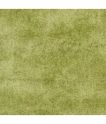 Surya Nimbus NBS-3006-2x3 rug