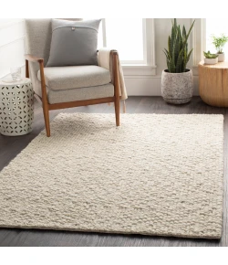 Surya Neravan NER1001 Cream Charcoal Area Rug 12 ft. X 18 ft. Rectangle