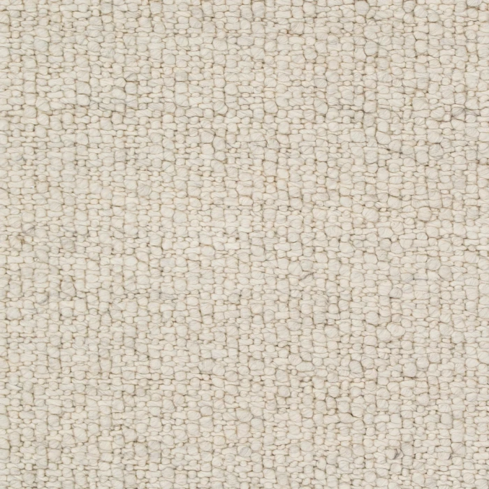 Surya Neravan Rug NER1001