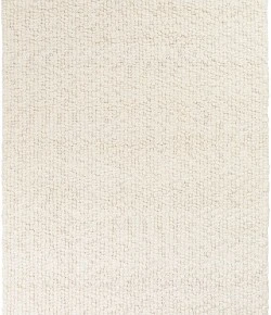 Surya Neravan NER1003 Cream Area Rug 2 ft. X 3 ft. Rectangle