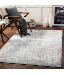 Livabliss Norland NLD2301 Light Gray Charcoal Area Rug 10 ft. X 14 ft. Rectangle