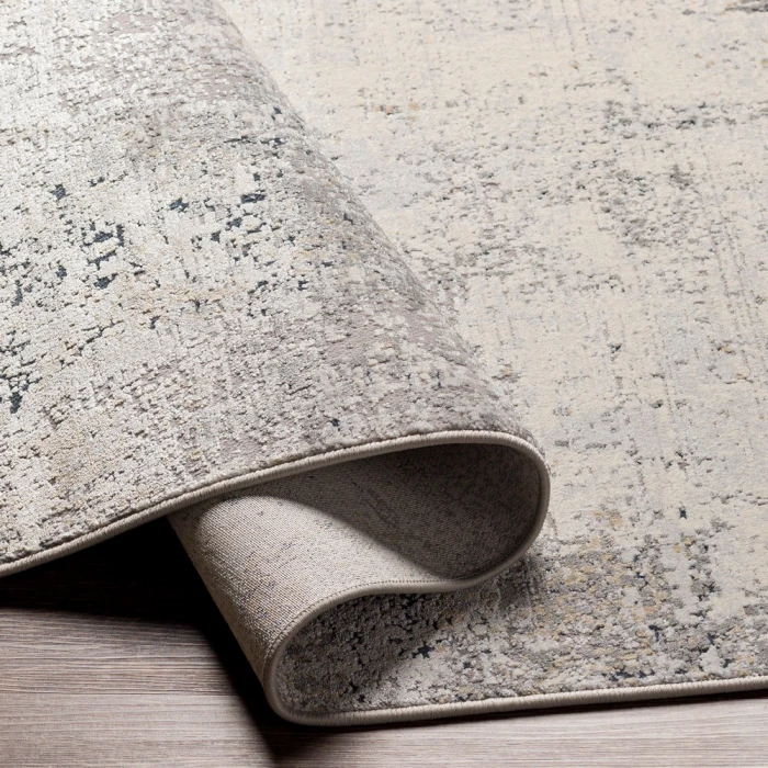 Surya Norland NLD-2314 2 7 x 4  Rug