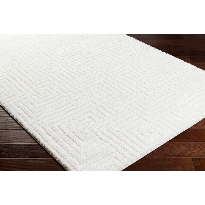 Livabliss Nomadic Rug NMC2314
