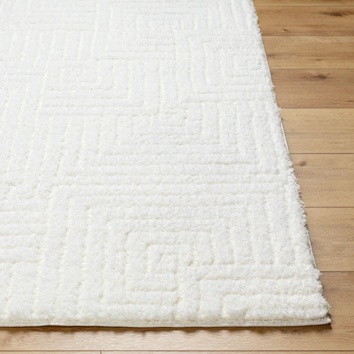 Livabliss Nomadic Rug NMC2314
