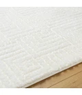 Livabliss Nomadic Rug NMC2314