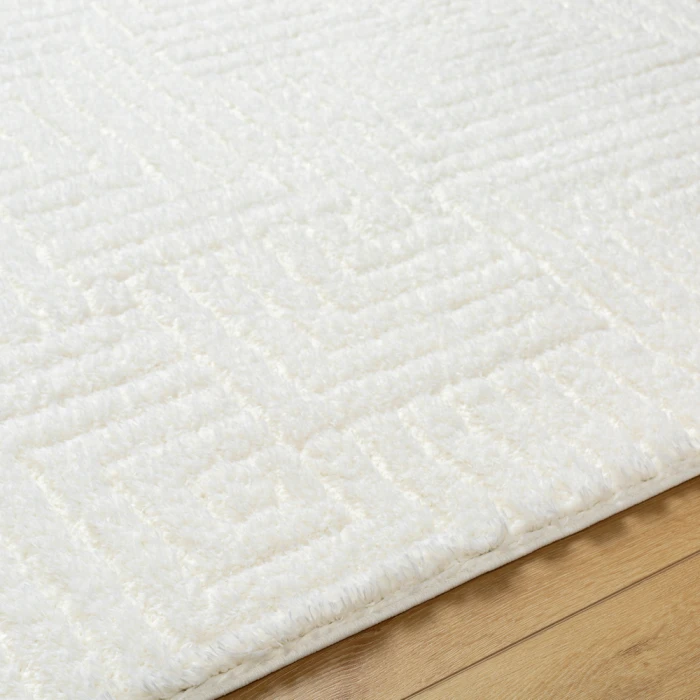 Livabliss Nomadic Rug NMC2314