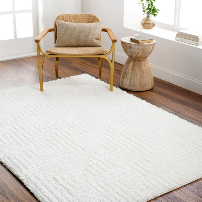 Livabliss Nomadic Rug NMC2314