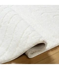 Livabliss Nomadic Rug NMC2315