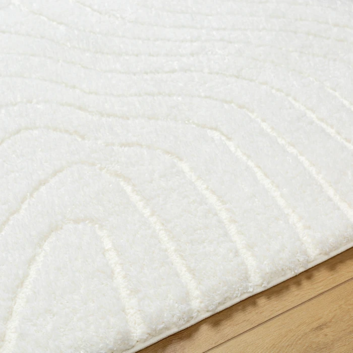 Livabliss Nomadic Rug NMC2315