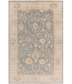 Surya Normandy NOY8007 Teal Medium Gray Area Rug 6 ft. X 9 ft. Rectangle