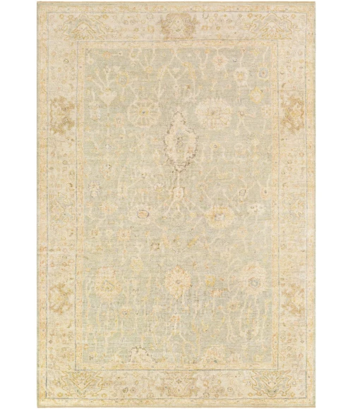 Surya Normandy NOY-8009 4  x 6  Rug