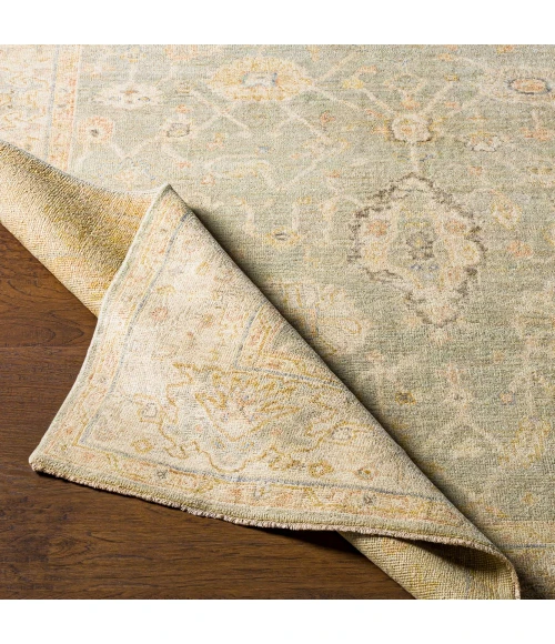 Surya Normandy NOY-8009 4  x 6  Rug