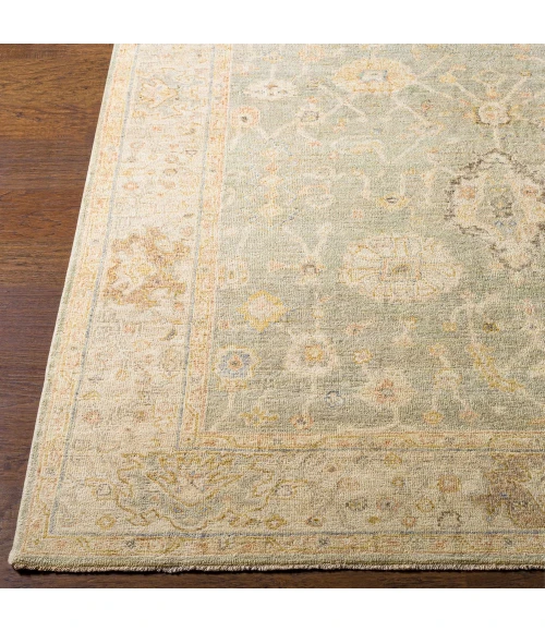 Surya Normandy NOY-8009 4  x 6  Rug