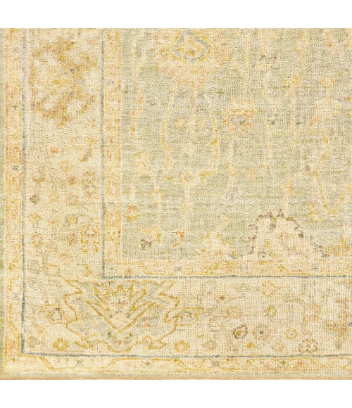 Surya Normandy NOY-8009 4  x 6  Rug