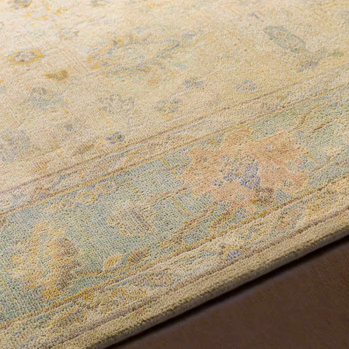 Surya Normandy NOY-8010 6  x 9  Rug