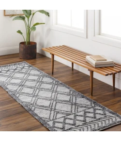 Surya Napoli NPO-2309 2'6" x 8' Runner Rug