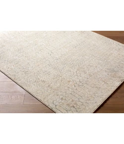 Livabliss Nathan Light Beige NTH-2301 2 ft. 7 in. X 10 ft. Rect. Rug