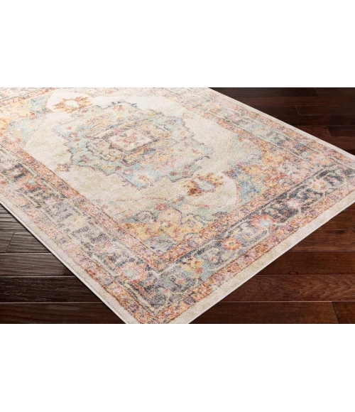 Livabliss New Mexico NWM-2300 Area Rug