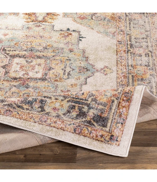 Livabliss New Mexico NWM-2300 Area Rug
