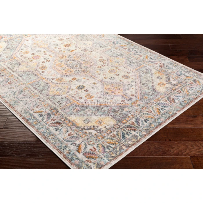 Livabliss New Mexico NWM-2309 Area Rug