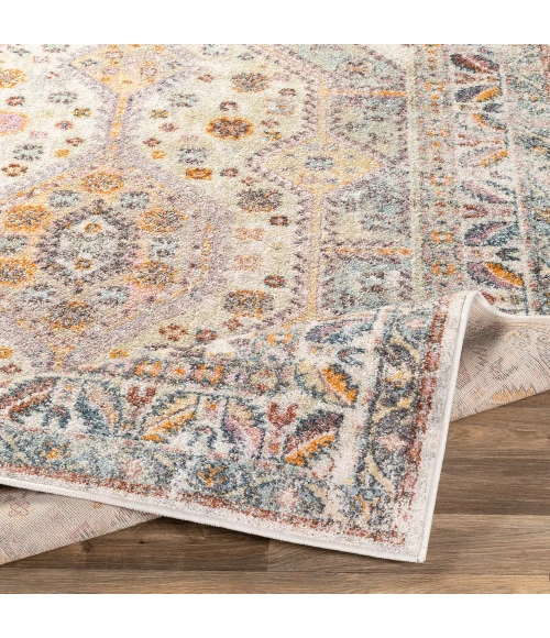 Livabliss New Mexico NWM-2309 Area Rug