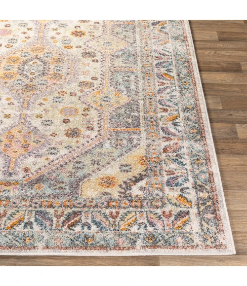 Livabliss New Mexico NWM-2309 Area Rug