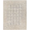 Surya Once Upon a Time OAT2303 Ash Light Grey Area Rug 9 ft. 10 in. X 12 ft. 6 in. Rectangle