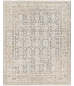 Surya Once Upon a Time OAT2303 Ash Light Grey Area Rug 7 ft. 10 in. X 9 ft. 10 in. Rectangle