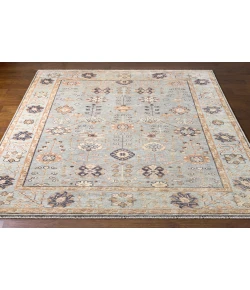 Surya Palais PAL2301 Pale Blue Light Brown Area Rug 10 ft. X 14 ft. Rectangle