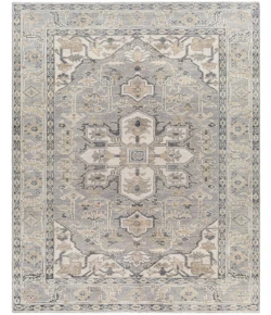 Surya Palais PAL2306 Medium Gray Charcoal Area Rug 8 ft. 10 in. X 12 ft. Rectangle