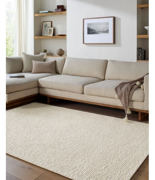 Passion PAN-2303 5' x 7'6" Handmade Rug