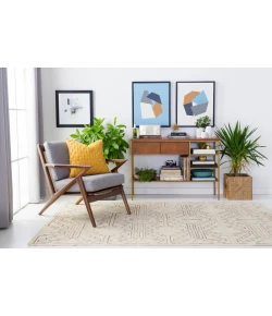 Surya Pueblo PBL6000 Lime Olive Area Rug 3 ft. 6 in. X 5 ft. 6 in. Rectangle