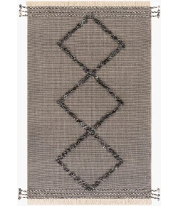 Surya Palo Alto PLA2301 Black White Area Rug 2 ft. X 3 ft. Rectangle