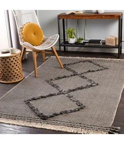Surya Palo Alto PLA2301 Black White Area Rug 2 ft. X 3 ft. Rectangle