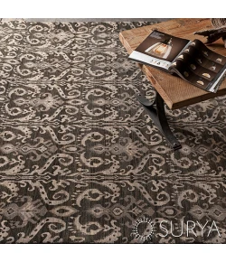 Surya Palace PLC-1003 2' x 3' Rectangle Rug