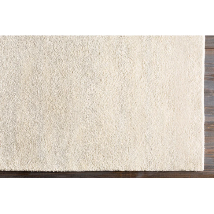 Surya Parma Ivory PMA-2301 2ft. x 3ft. Rect. Rug
