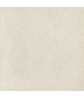 Surya Parma Ivory PMA-2301 2ft. x 3ft. Rect. Rug