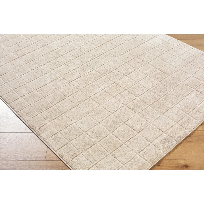 Our PNW Home Cascade Light Beige PNWCS-2304 2 ft. 7 in. X 10 ft. Rect. Rug