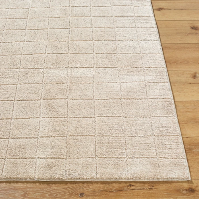 Our PNW Home Cascade Light Beige PNWCS-2304 2 ft. 7 in. X 10 ft. Rect. Rug