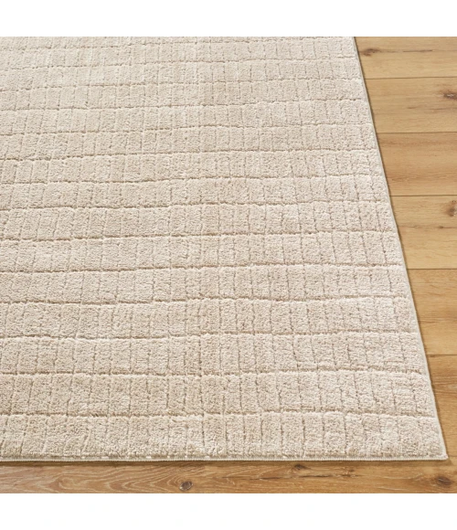 Our PNW Home Cascade Light Beige PNWCS-2306 2 ft. 7 in. X 7 ft. 3 in. Rect. Rug