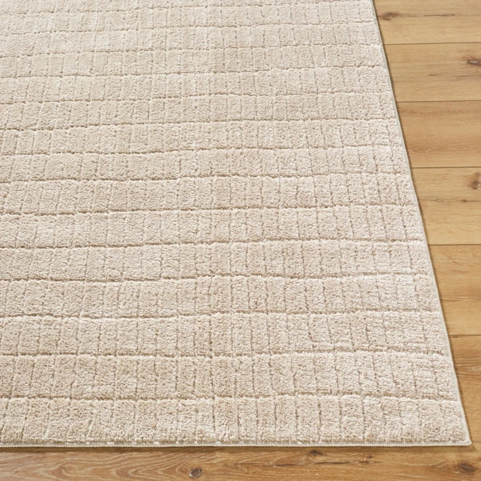 Our PNW Home Cascade Light Beige PNWCS-2306 2 ft. 7 in. X 12 ft. Rect. Rug