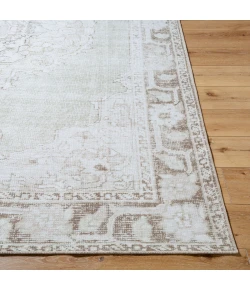 Livabliss Rainier PNWRN-2300 2 ft.7 in. x 12 ft. Runner Rug